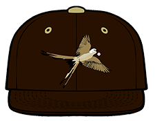 Blackwell FlyCatchers hat